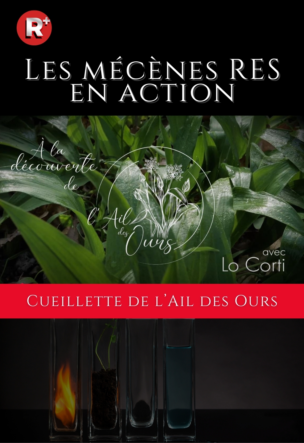 Cueillette de l’Ail des Ours